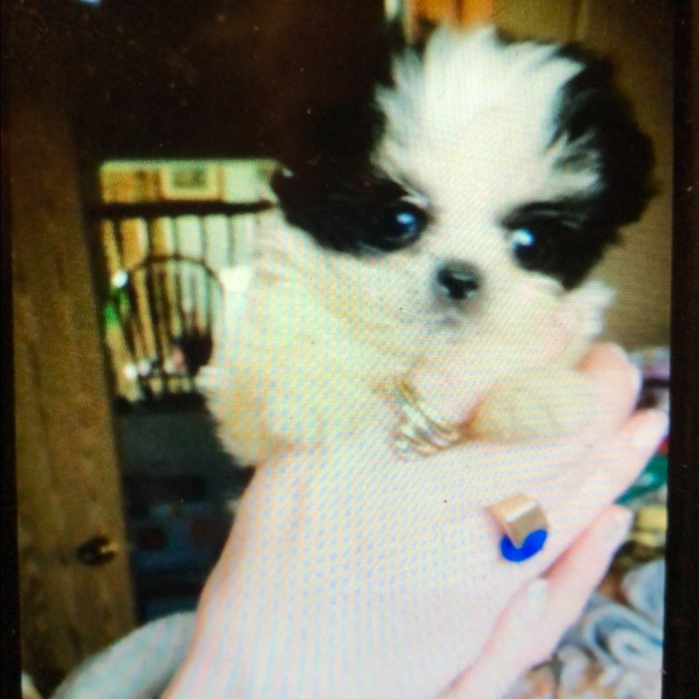 Please Read & see pictures of Nano - Make me an Offer